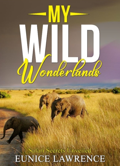 My Wild Wonderlands